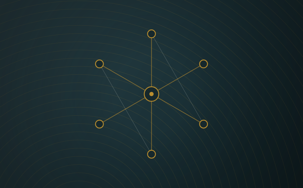 Line schematic of a multi-sided platform network